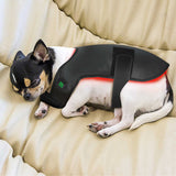 Red Light Therapy Pet Dog Cat Belt Light Therapy Care Wraps for Dog Wound Healing and Pain Relief