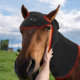 LED light therapy horse belt for neck pain relief and figure management wrap 660nm 850nm infrared red light therapy wrap